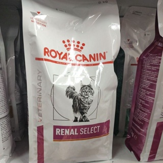 [Royal Canin] อาหารแมวสูตรโรคไต ทานยาก มีไส้ Renal select for Cat 2kgDry EXP ตค 2023