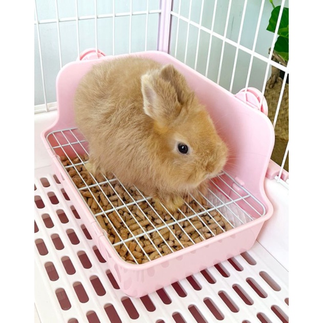 ห้องน้ำกระต่าย แกสบี้ สี่เหลี่ยมเข้ามุม Dayang NV5200 ห้องน้ำสัตว์เลี้ยง