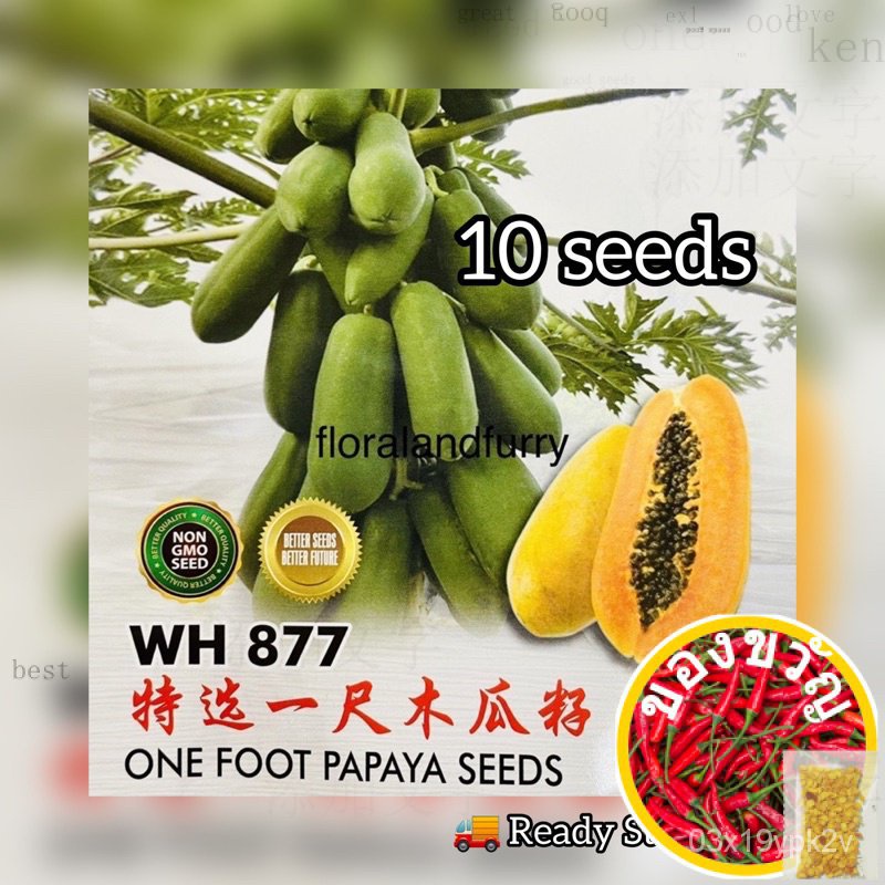 1 ‑ 10 М-to-One-ฟุต E2OO