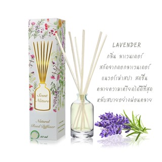 REED DIFFUSER 50ml กลิ่น LAVENDER