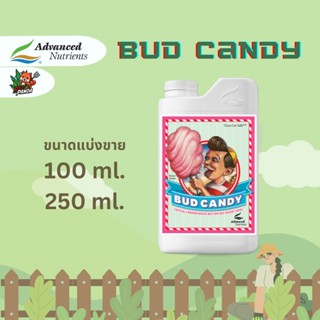 Bud Candy Advanced Nutrients ปุ๋ย AN ปุ๋ย Bud Candy นำเข้าจากต่างประเทศ ขนาดแบ่งขาย