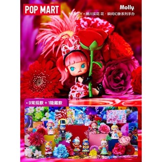 พร้อมส่ง Molly Flower Dreaming Popmart