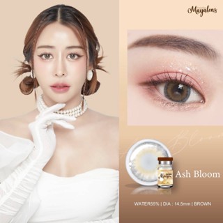 คอนแทคเลนส์ยี่ห้อ Mayalens รุ่น Ash Bloom Brown (สีน้ำตาล)