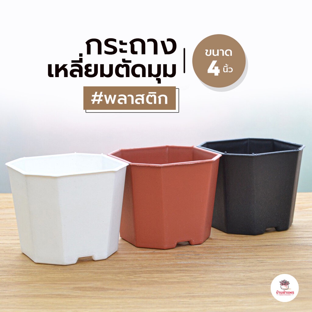 กระถางสี่เหลี่ยมตัดมุม 4 นิ้ว กระถางพลาสติก แคคตัส กระบองเพชร ไม้อวบน้ำ Cactus&Succulent