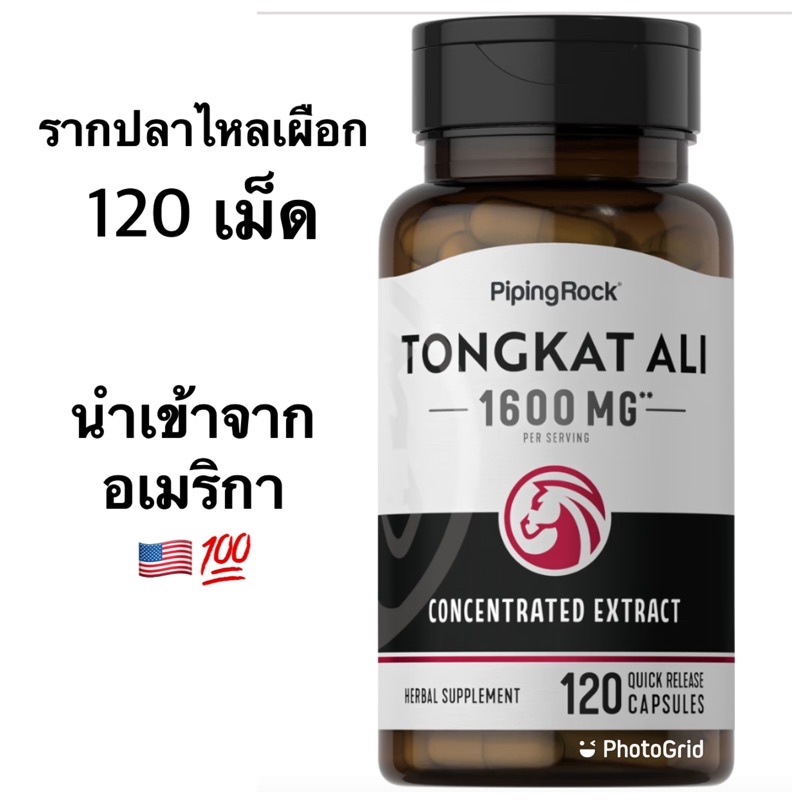 TONGKAT ALI 1600 MG ( 120 แคปซูล )