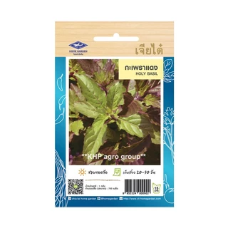 เมล็ดพันธุ์ ผักใบ ชุดที่ 3 เจียไต๋ (ซอง) ตราเครื่องบิน + Best Seller + เมล็ดผัก ผักสวนครัว ผักสลัด ผักไฮโดร