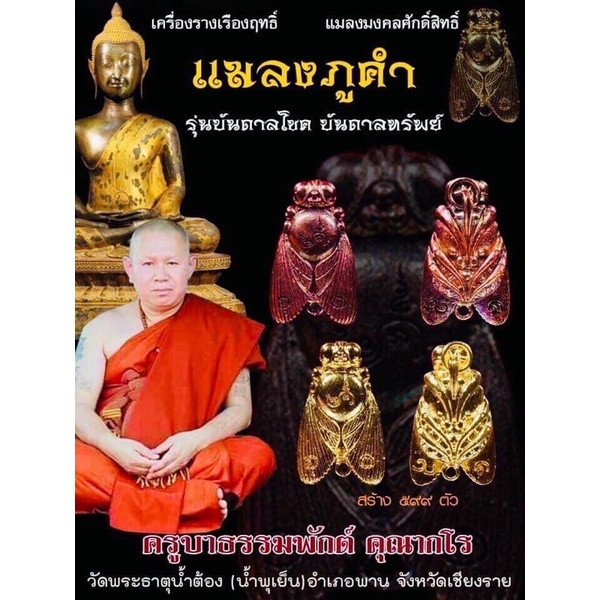 แมลงภู่คำบันดาลโชค บันดาลทรัพย์ ปี 62 เขย่ามีเสียง รูปที่ 2