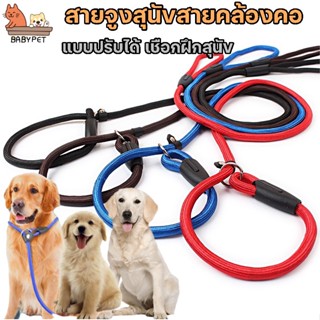 แหล่งขายและราคา【T】BABY PET 🐶 สายจูงสุนัขสายคล้องคอแบบปรับได้ เชือกฝึกสุนัข สายจูง เชือกจูงสุนัข 🐕อาจถูกใจคุณ