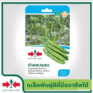 ผลิตภัณฑ์ใหม่ เมล็ดพันธุ์ จุดประเทศไทย ❤เมล็ดพันธุ์East-West Seed เมล็ดอวบอ้วนถั่วพู (Wing Bean seeds) กำแพงแสน /ขายดี F