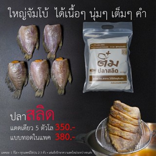 ปลาสลิดแดดเดียว ขนาด 5 ตัว /1 กิโลกรัม (ดิบ)