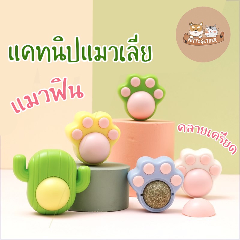 แคทนิปบอล กัญชาแมว แคทนิปแมวเลีย บอลแมวเลีย Catnip Ball แปะกำแพง คลายเครียดให้แมว