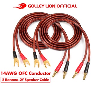 Golley Lion Hifi Ofc สายลําโพงพร้อมจอบปลั๊กกล้วยสําหรับขยายเสียงลําโพง 4 มม. ถึง 4 ปลั๊กสีทอง