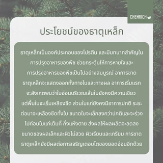 100G/500G Fe-EDTA เหล็กคีเลต อีดีทีเอ13.2% ผงจุลธาตุเหล็ก (เหล็กเหลือง) / Fe-EDTA micronutrient fertilizer - Chemrich