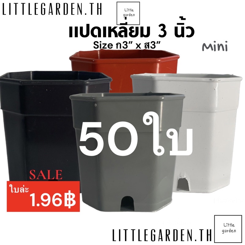Little กระถางแคคตัส แปดเหลี่ยม 3 นิ้ว 50 ใบ