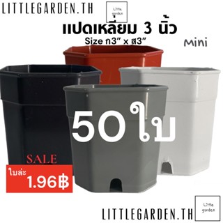 Little กระถางแคคตัส แปดเหลี่ยม 3 นิ้ว 50 ใบ