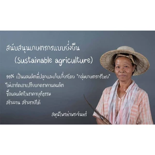 ดอกกุหลาบผง บดจากส่วนดอกล้วนA บริสุทธิ์ 100% บรรจุถุงกันความชื้น กุหลาบ ดอกกุหลาบ ผงกุหลาบ ชากุหลาบ ชาดอกกุหลาบ ชากุหลาบ