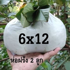 ถุงห่อฝรั่ง กันuv ถุงห่อผลไม้ กันแมลง มีรูระบายน้ำ ขนาด6x12นิ้ว คุณภาพคุ้มราคา