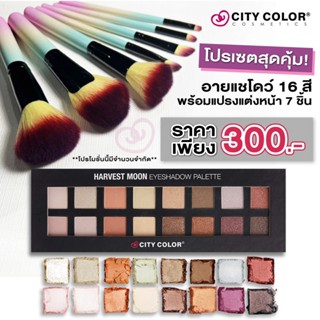 อายแชโดว์ 16 สี พร้อมชุดแปรงแต่งหน้า 7 ชิ้น เซตสุดคุ้ม