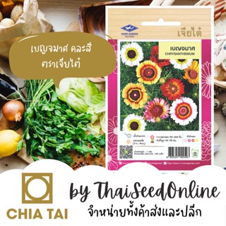 CTFW เมล็ดพันธุ์ เบญจมาศคละสี ตราเจียไต๋ Chrysanthemum เมล็ดดอกไม้