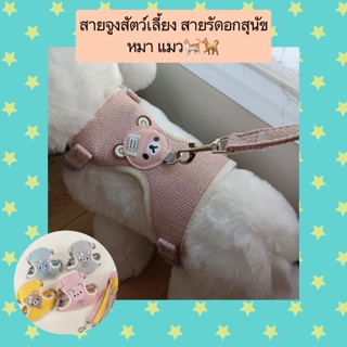 AL-404 สายจูงสัตว์เลี้ยง สายรัดอก สุนัข หมา แมว กระต่าย น่าร…