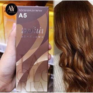 Berina Hair Color Cream ครีมย้อมผม เบอริน่า A5 (สีน้ำตาลกลางประกายทอง)