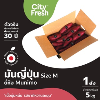 CityFresh (ยกลัง)มันหวานญี่ปุ่น Beni Haruka Sweet Potato 𝗠𝗨𝗡𝗜𝗠𝗢 จากญี่ปุ่น ผลไม้นำเข้า