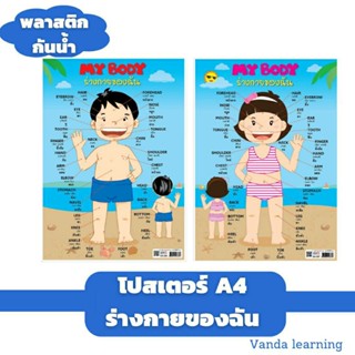 โปสเตอร์คำศัพท์ ร่างกายของฉัน ขนาด A4  My Body (Boy &amp; Girl) EA-336 337 แผ่นพลาสติก