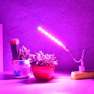 Usb 5V Led โคมไฟแรงดันต่ํา สําหรับการเจริญเติบโตของพืชอวบน้ํา