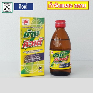 ช้างคิวเต้ กำจัดแมลงคลานอย่างได้ผล ฉีดฆ่าเห็บ หมัด มด ปลวก แมลงสาป เรือด ไรไก่ หมัดหนู ที่อยู่ตามพื้นคอกเลี้ยงสัตว์