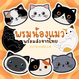 🐱พร้อมส่ง🐈พรมเช็ดเท้าน้องแมว ขนาด 50*60 ซม พรมขนนุ่ม พรมแต่งห้องสไตล์เกาหลี พร้อมส่งจากไทย