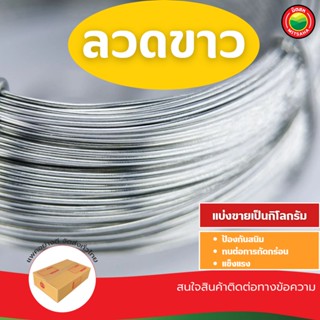 ลวดสังกะสี ลวดขาว เบอร์ 18 Galvanized Wire ลวด ชุบ สังกะสี ชุป อลูมิเนียม เติม ป้อน สปริง สแตนเลส ดัดบอนไซ มิตสห Mitsaha