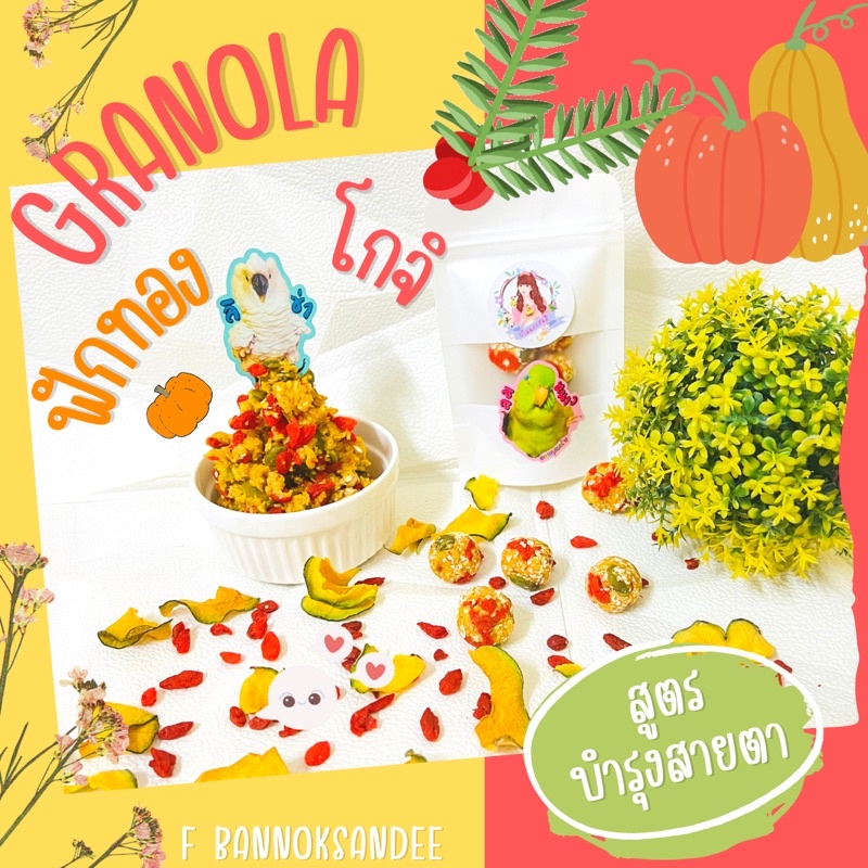 Granola ฟักทองโกจิเบอรี่ สำหรับนกทุกขนาด 7 ลูก