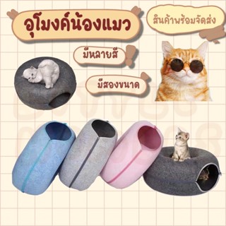 บ้านแมวโดนัท อุโมงค์น้องแมว ที่นอนแมว บ้านแมว แมวน้อย