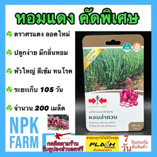 ผักซอง ศรแดง หอมแดง หอมลำดวน คัดพิเศษ จำนวน 200 เมล็ด/ซอง ลอตใหม่ งอกดี ต้นแข็งแรง ทนโรค หัวใหญ่ สีเข้มสด มีกลิ่นหอม