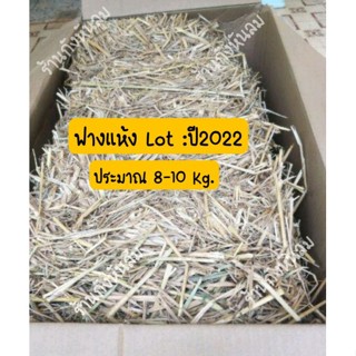 ฟางข้าวแห้ง ๑ กิโลกรัม   Lot : ปี65