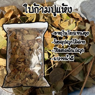 ใบก้ามปู ไม่ผสมดิน ใบฉำฉา ใบจามจุรี ไม่แยกก้านธรรมชาติ 500-1000 กรัม สารอาหารพืชสูง สั่งต่อออเดอร์ไม่เกิน 10 กิโลกรัม