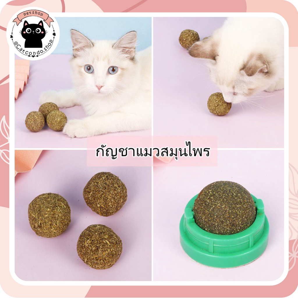 ของเล่นแมว Catnip ลูกบอลแมว ลูกบอลล่อแมว ผงcatnip ลูกบอลcatnip