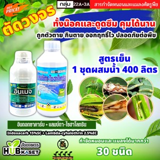 ชุดตัดวงจร อินเมจ+แลมป์ดา ตราไก่เกษตร 500ซีซี+1ลิตร (อินดอกซาคาร์บ+แลมป์ดา) ทั้งน็อคและดูดซึม คุมได้นาน