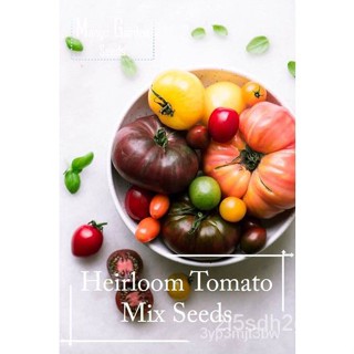 ผลิตภัณฑ์ใหม่ เมล็ดพันธุ์ จุดประเทศไทย ❤Heirloom Tomato Mix Seeds - 50 seed *Pot Friendly* - Mango Garden - Che คล/เมล็ด