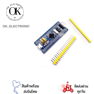 บอร์ด STM 32,STM32F103C8T6