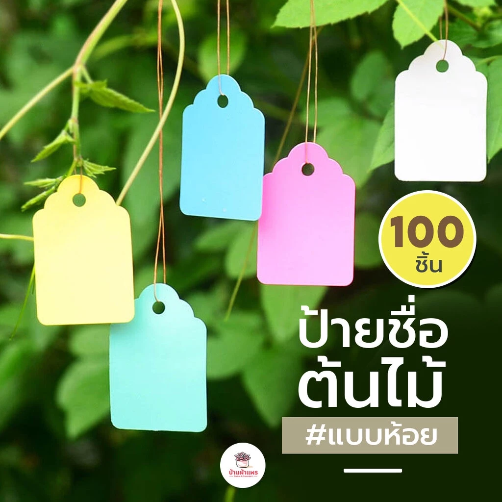 [ 100 ชิ้น ] ป้ายชื่อต้นไม้แบบห้อย ป้ายชื่อพลาสติก มีหลายขนาด