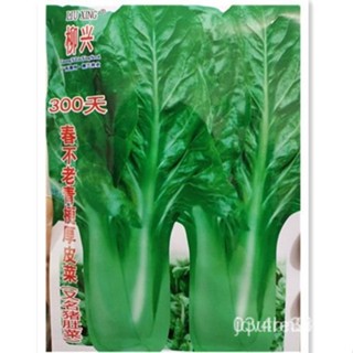 [Green Ridge Swiss] 300เป็นต้นไป/ดอกไม้/สีดอกกุหลาบ/ด 29MG