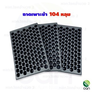 ถาดเพาะชำ 104 หลุม มีขอบ หนา PS 70 mc. เกรดA ถาดเพาะ