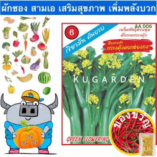 เมล็ดพันธุ์/AAA  ผักซอง สามเอ กวางตุ้งดอก ฮ่องกง #AA006 เมล็ดพันธุ์ กวางตุ้ง เมล็ดพันธุ์ผัก เมล็ดพันธุ์ ผักสวนครัว ตราAA