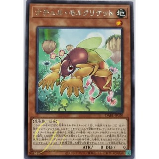 Yugioh [DABL-JP020] Naturia Molcricket (Rare)