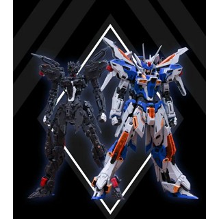 INFINITE DIMENSION MG 1/100 GENESIS DX/STD VER