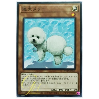 [BODE-JP035] Outstanding Dog Mary (Normal Rare)