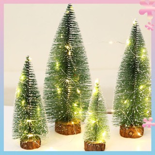 Mini Christmas Tree Cedar Desktop Small Christmas Tree Desktop Window Decoration Christmas Gift Christmas Decorations