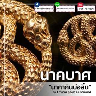 นาคบาศพญานาค รายการมันตระสยาม