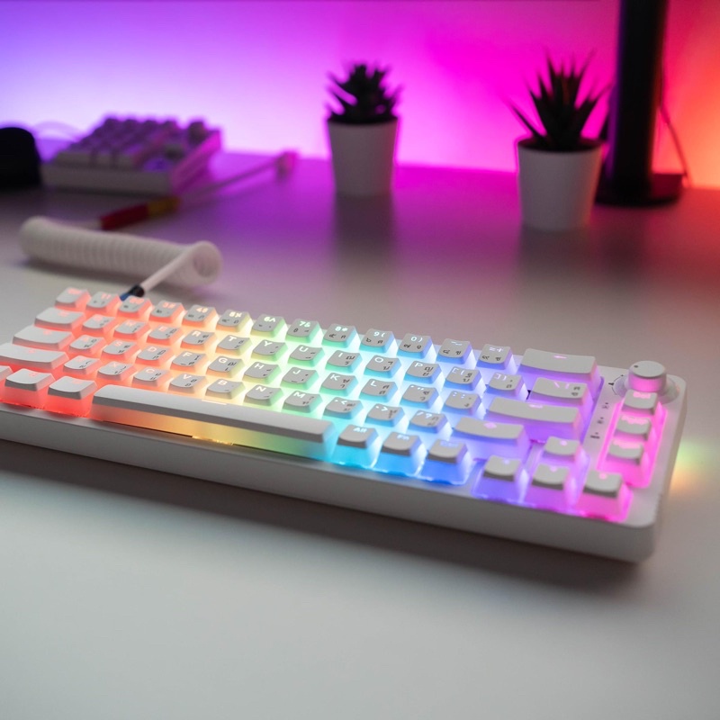 AFLION TM680 hotswap 3 mode wireless completed set gateron switch pudding keycaps(WHITE-Gateron Yell